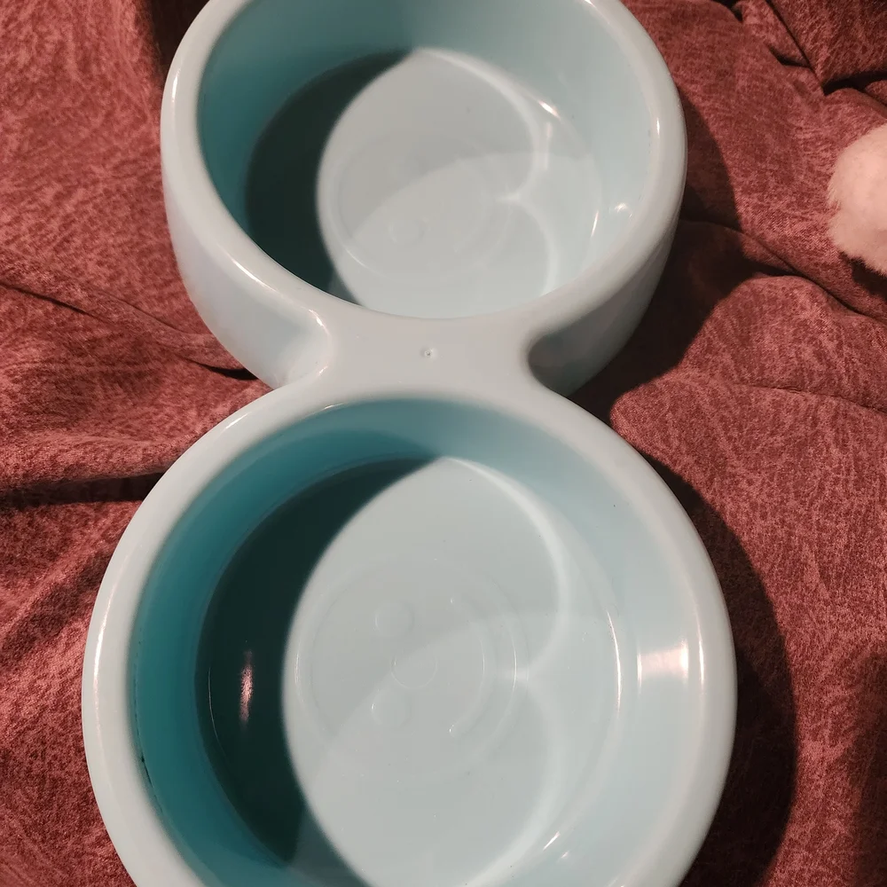 Light Blue Double Pet Bowl